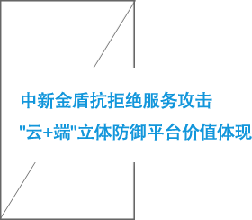 中新金盾抗拒絕服務(wù)攻擊 _云+端_立體防御平臺價值體現(xiàn) .png